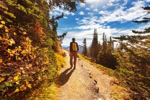 man hiking on a trail in Montana during the Fall